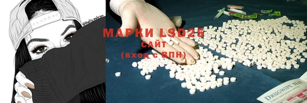 спиды Бородино