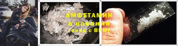спиды Бородино