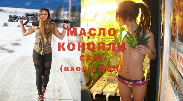 гашик Сосновый Бор