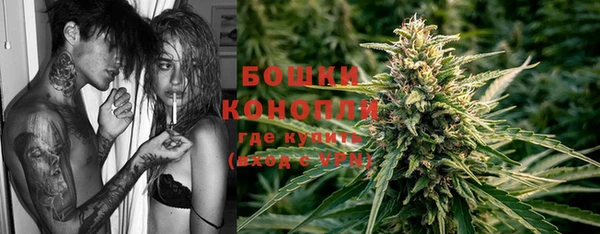 спиды Бородино